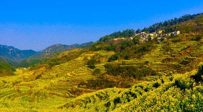 【煙雨徽州】九華山大愿文化園、太平湖 大美黃山（二次上山）、水墨宏村、秀里古村 夜游花山謎窟五天雙飛