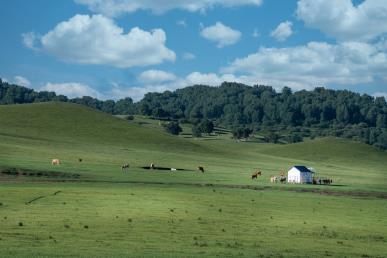 景點：烏蘭布統(tǒng)風光