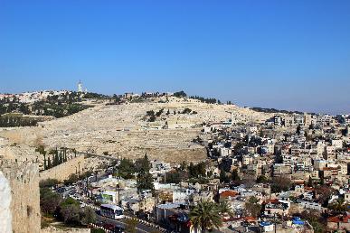 景點(diǎn)：橄欖山