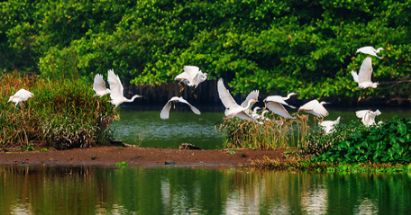【江門(mén)陽(yáng)江2天】<深中通道、無(wú)限次浸泡空中園林溫泉赤坎古鎮(zhèn)僑鄉(xiāng)國(guó)際旅游區(qū)天麓山海山頂攬勝、十里銀灘>