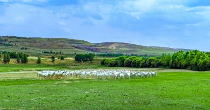 景點(diǎn)：草原牧場(chǎng)