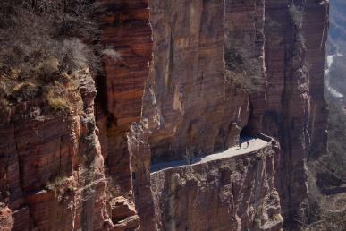 【慢享長(zhǎng)安 尋夢(mèng)大唐令雙飛5日】兵馬俑·西安博物院·華山·華清宮·長(zhǎng)安十二時(shí)辰·鐘鼓樓·秦腔博物館