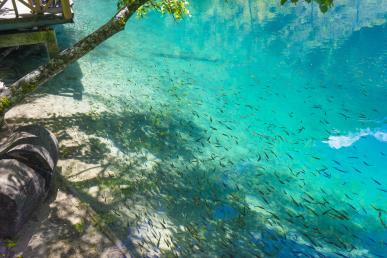 景點(diǎn)：九寨溝五彩池圖1