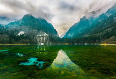 景點(diǎn)：九寨溝孔雀海倒影