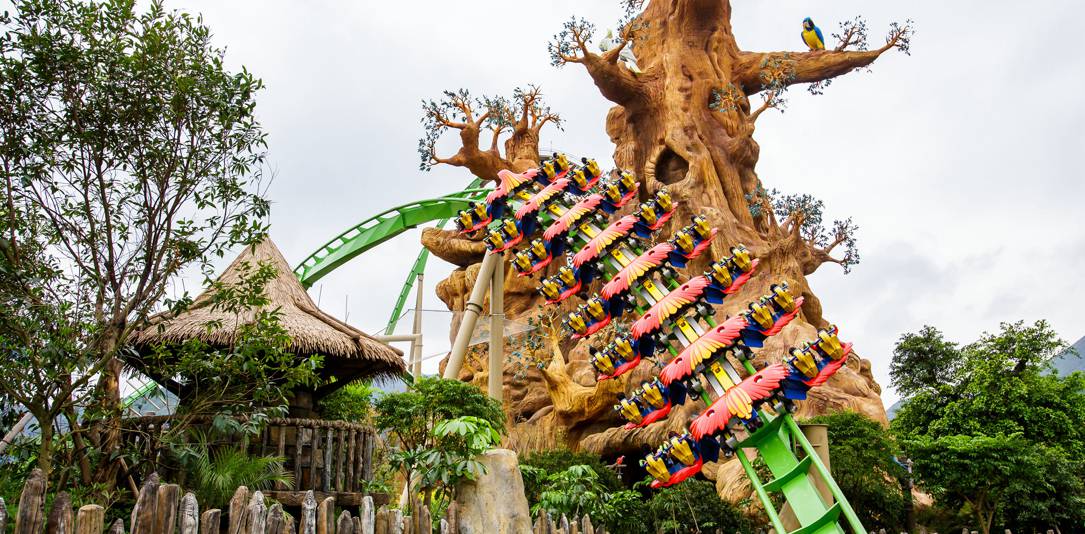 長(zhǎng)隆鸚鵡過(guò)山車(chē)封面圖